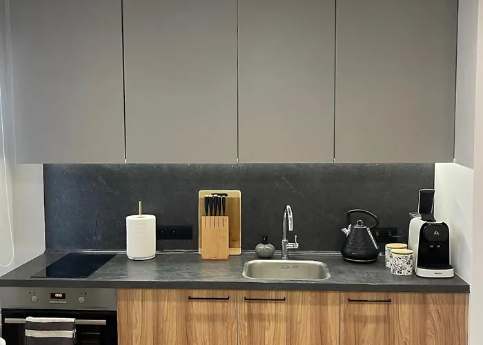 Premium In Quiet & Historical Area Dzīvoklis Riga